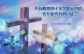 传道人：凭信心生活？靠教会供应？（陈鸽）